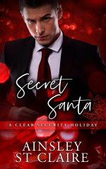 Secret Santa cover